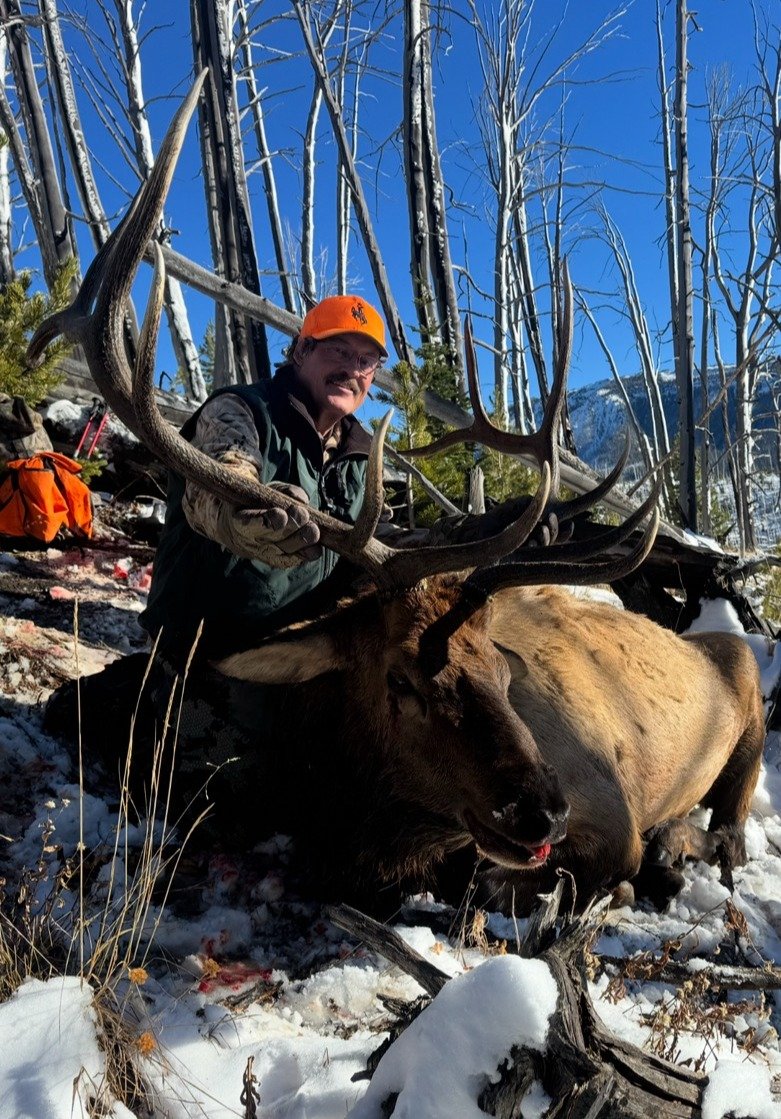 ElkResize5.JPG