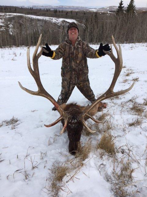 elk 2.JPG