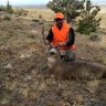 338weatherby