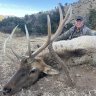 c-ne-elk