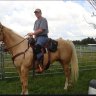 steveaqha