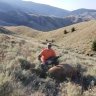 catamountsierra