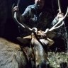 muleystalker