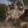 elkmo
