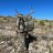 Outdoorsman413