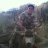 dave_halsey