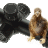 Eaglet