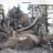 elkslayer44
